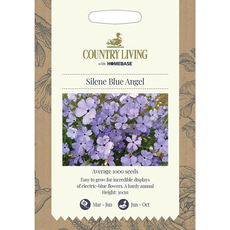 Homebase Seeds | Country Living Silene Blue Angel Seeds