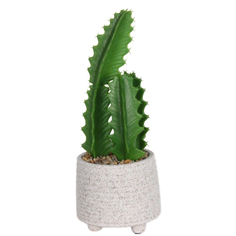 Homebase Artificial Plants | Cactus In Textured Pot