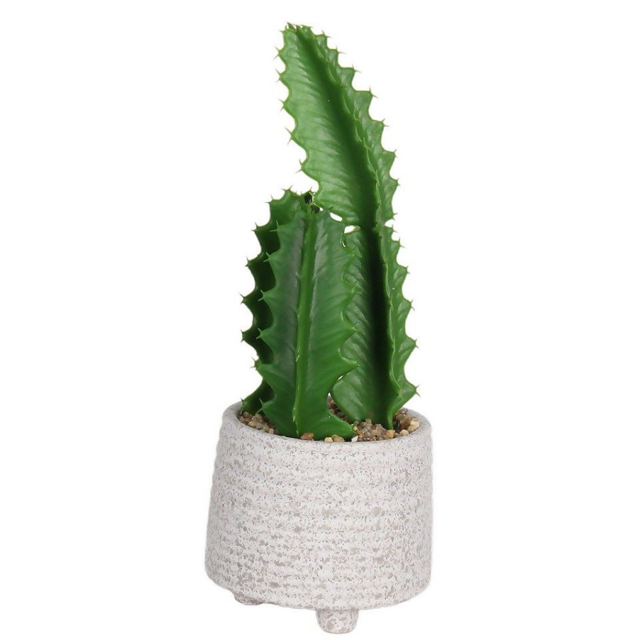 Homebase Artificial Plants | Cactus In Textured Pot