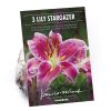 Homebase Summer Flowering Bulbs | Oriental Lily Stargazer Flower Bulbs