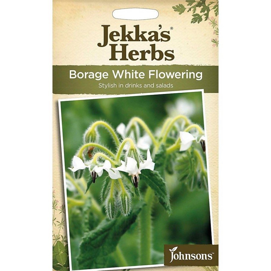 Homebase Seeds | Johnsons Jekka Borage White Flowering Seeds