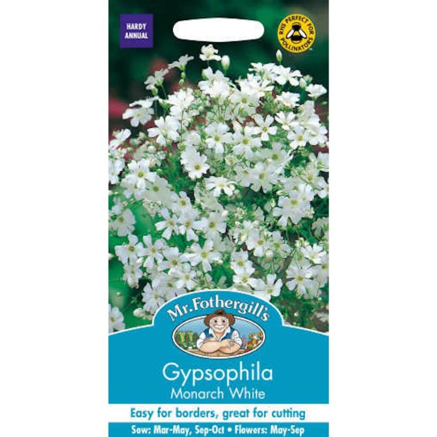 Homebase Seeds | Mr. Fothergill'S Gypsophilia Monarch White Seeds