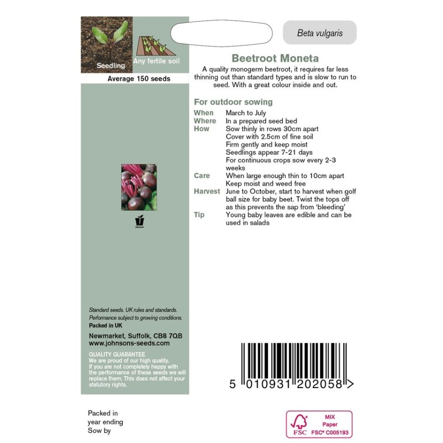 Homebase Seeds | Johnsons Beetroot Seeds - Moneta