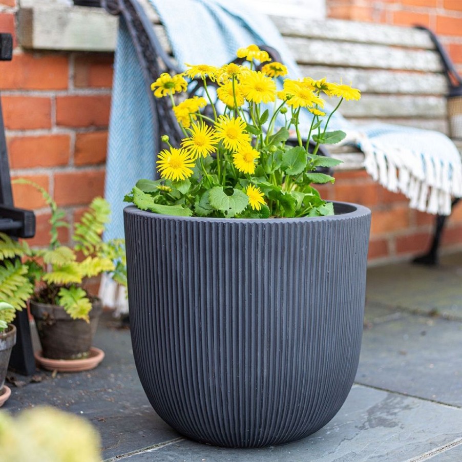 Homebase Plant Pots | Ream Egg Plant Pot - Black - 37Cm