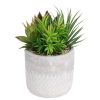 Homebase Artificial Plants | Mixed Succulent In Grey Pot