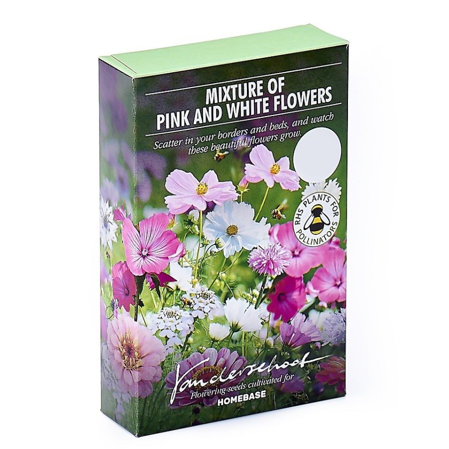 Homebase Summer Flowering Bulbs | Seed Mixture Of Pink And White Flowers