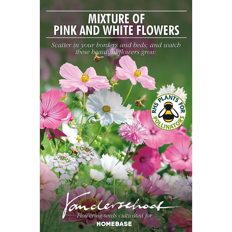 Homebase Summer Flowering Bulbs | Seed Mixture Of Pink And White Flowers