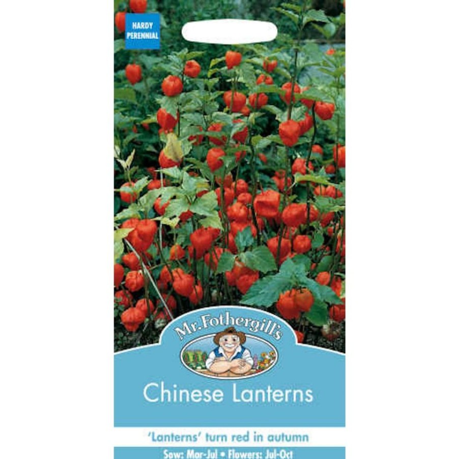 Homebase Seeds | Mr. Fothergill'S Chinese Lanterns (Physalis Alkekengi) Seeds