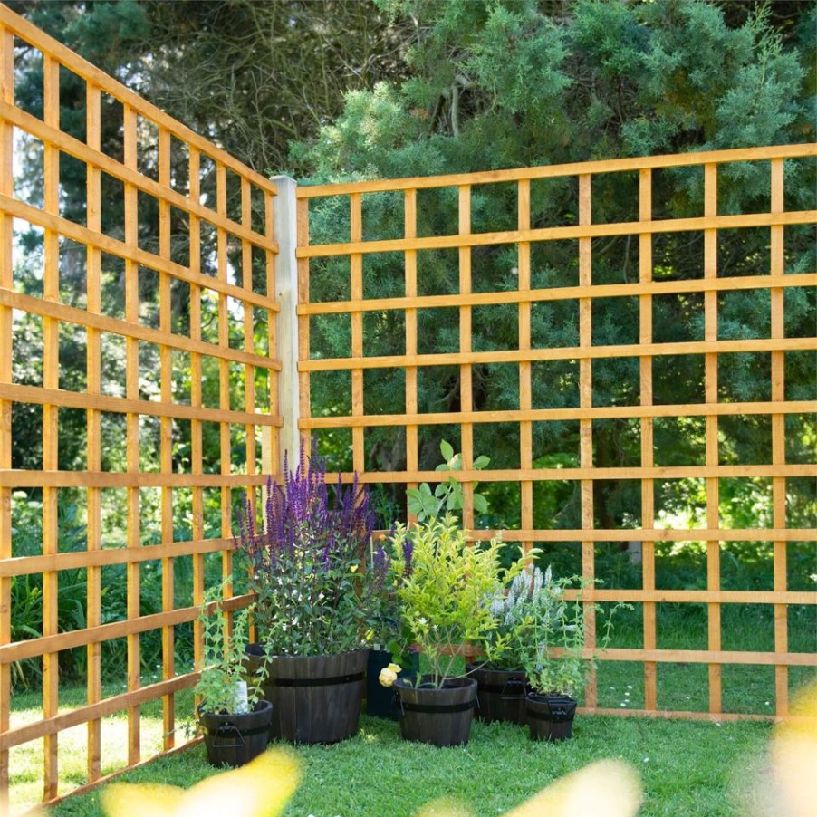 Homebase Trellis | Heavy Duty Trellis - 183Cm - Pack Of 4