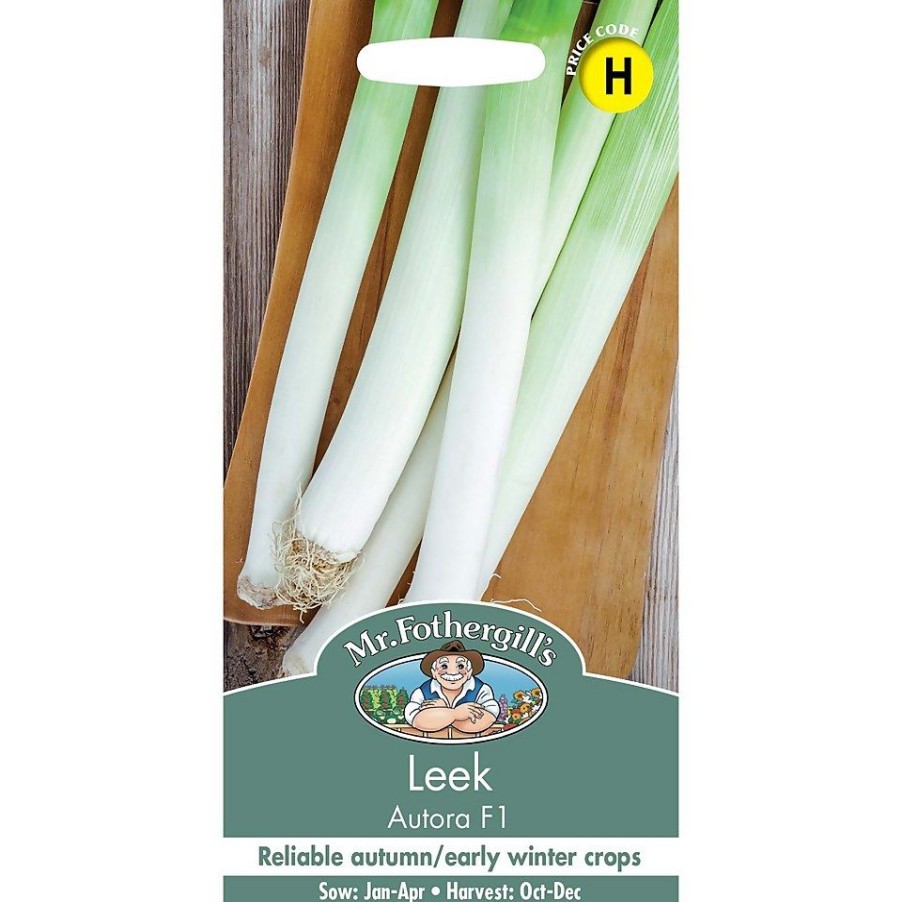 Homebase Seeds | Mr. Fothergill'S Leek Autora F1 Seeds