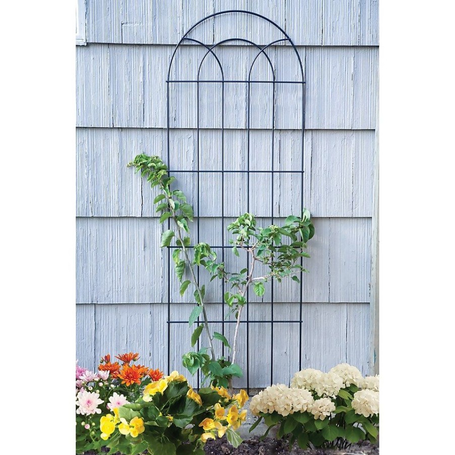 Homebase Trellis | Panacea Classic Black Garden Trellis - 183 X 56Cm