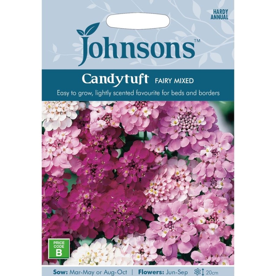 Homebase Seeds | Candytuft Fairy Mixed Seeds