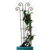 Homebase Trellis | Wave Pot Trellis - Green