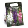 Homebase Summer Flowering Bulbs | 45 Large Floweringgladioli Mixed