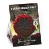 Homebase Summer Flowering Bulbs | Decorative Dahlia Arabian Night