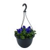 Homebase Planted Baskets & Containers | Pansy/Viola Coloured Spring Hanging Pot 25Cm