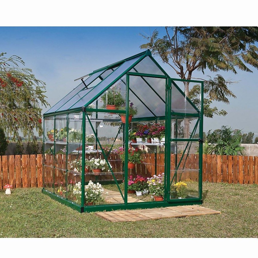 Homebase Greenhouses | Palram Canopia Hybrid 6 X 6Ft Green Greenhouse