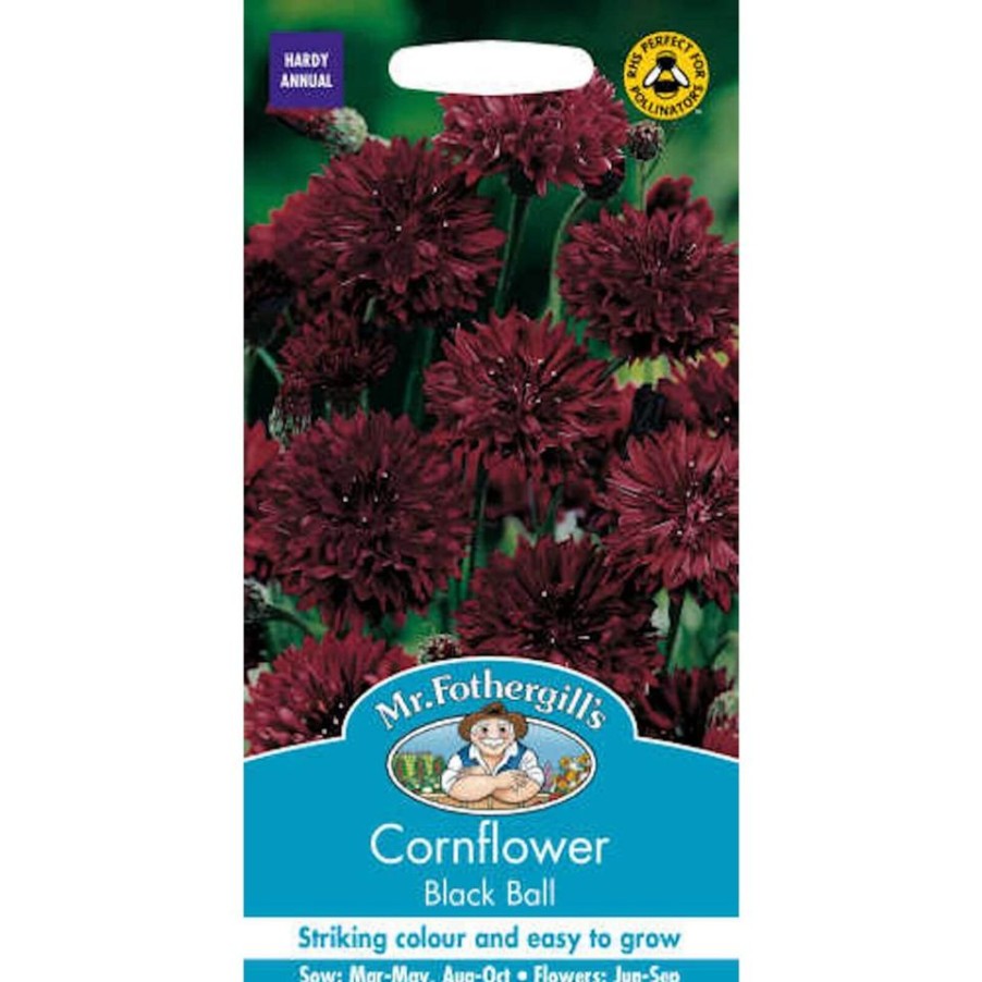 Homebase Seeds | Mr. Fothergill'S Cornflower Black Ball (Centaurea Cyanus) Seeds