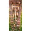 Homebase Trellis | Forest Garden Fan Trellis