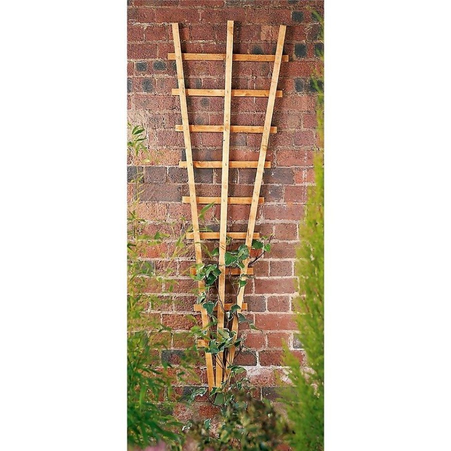 Homebase Trellis | Forest Garden Fan Trellis