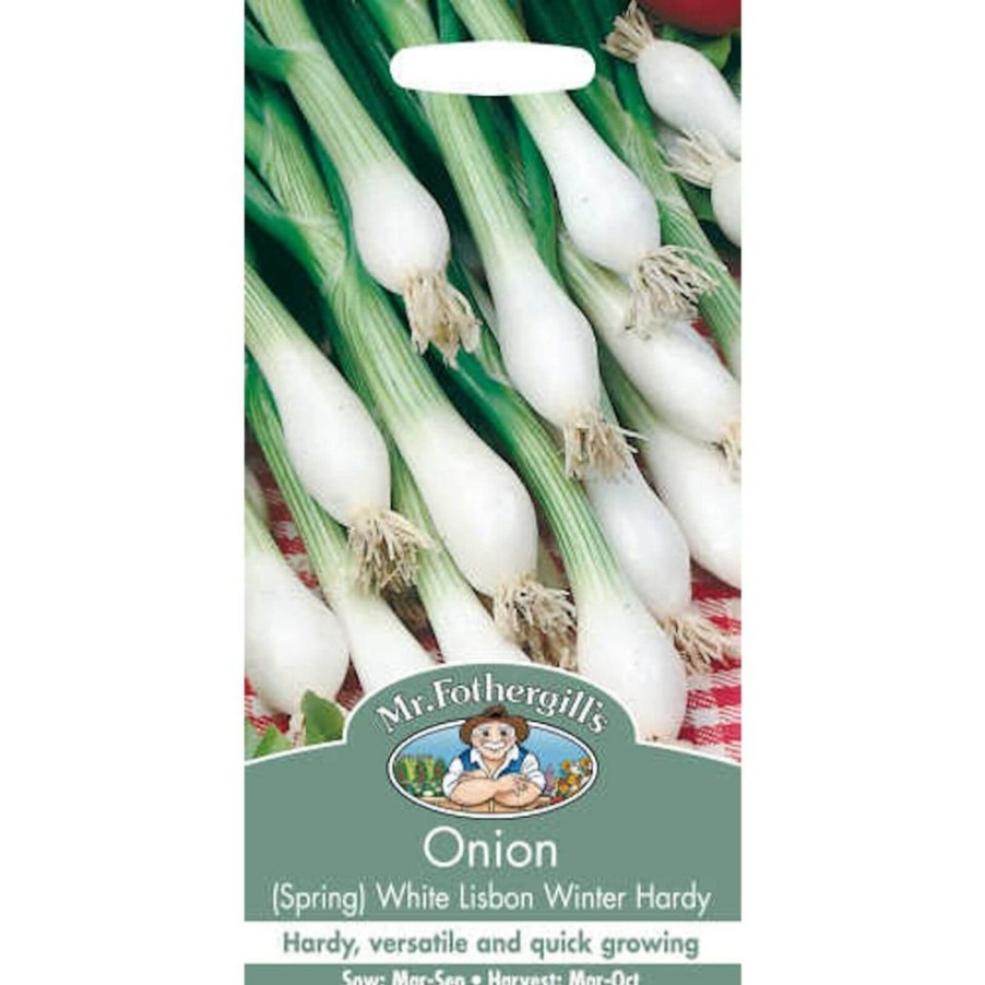 Homebase Seeds | Mr. Fothergill'S Spring Onion White Lisbon Winter Hardy (Allium Cepa) Bulbs