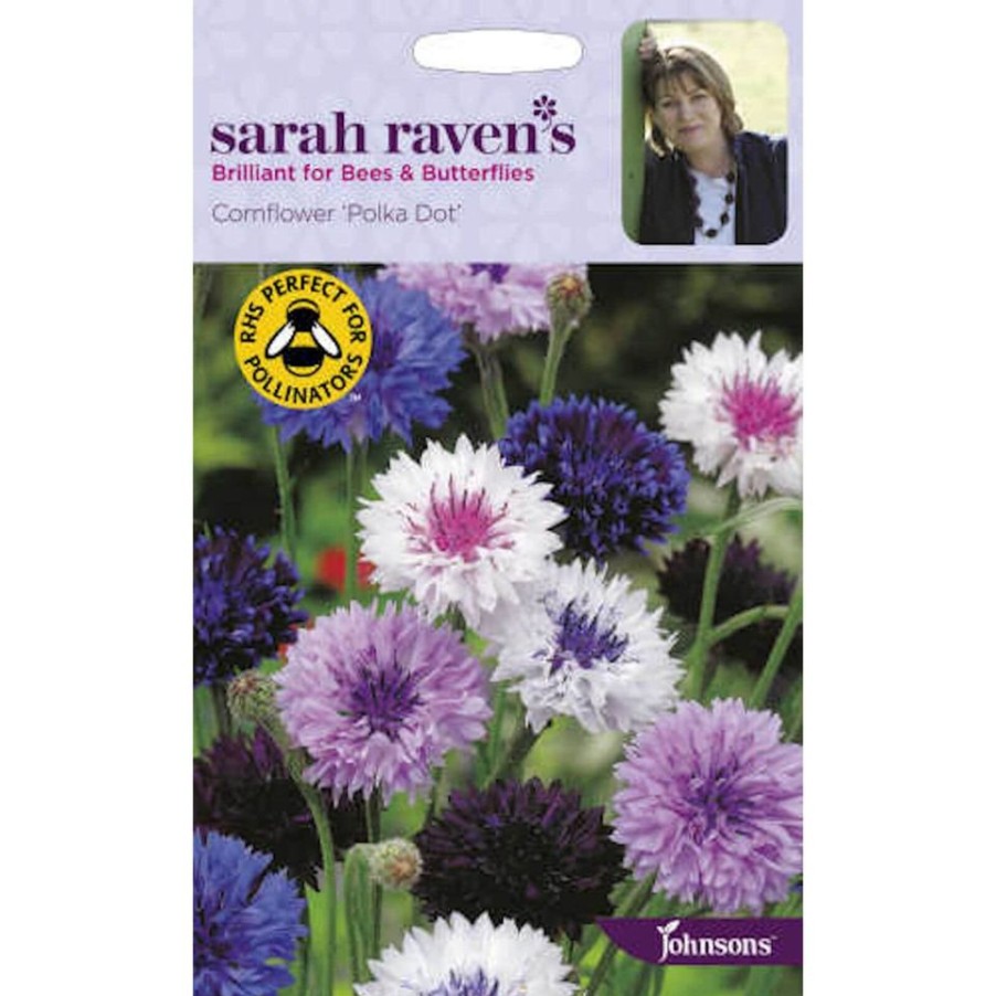 Homebase Seeds | Sarah Ravens Cornflower Polka Dot Seeds