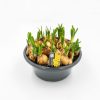 Homebase Perennial Plants | Dwarf Daffodill Narcissus Tete A Tete In 23Cm Bowl (Northern Ireland)