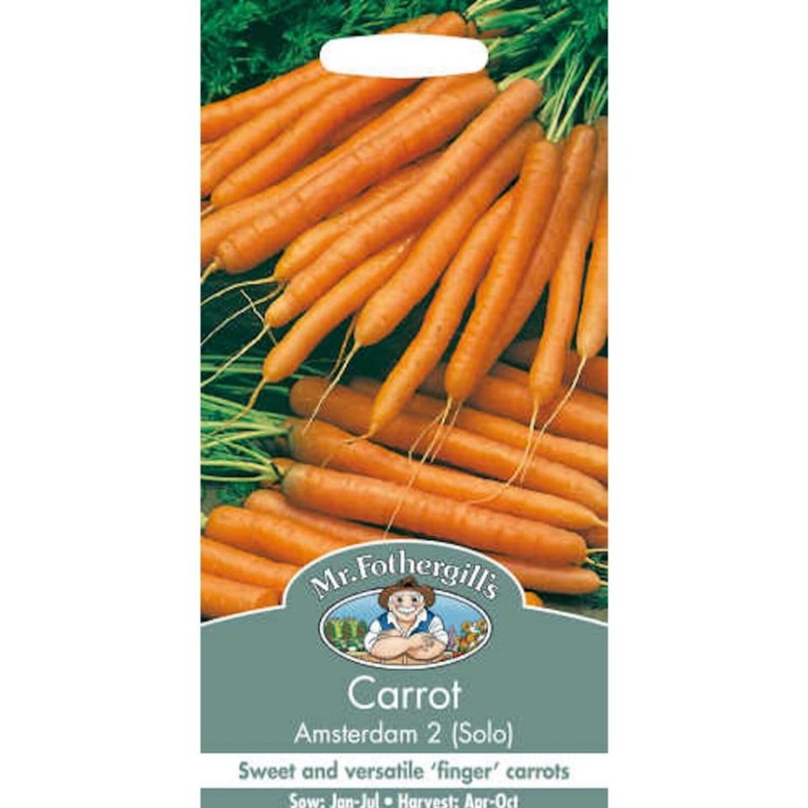 Homebase Seeds | Mr. Fothergill'S Carrot Amsterdam 2 Solo Seeds