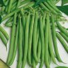 Homebase Grow Your Own | Vegetable Strip Dwarf French Bean Tendergreen