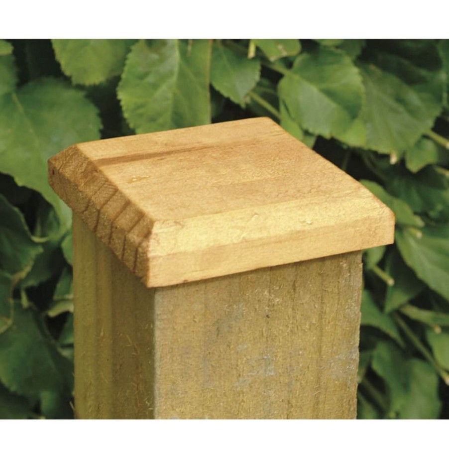 Homebase Garden Fencing | Forest Timber Fence Post Cap