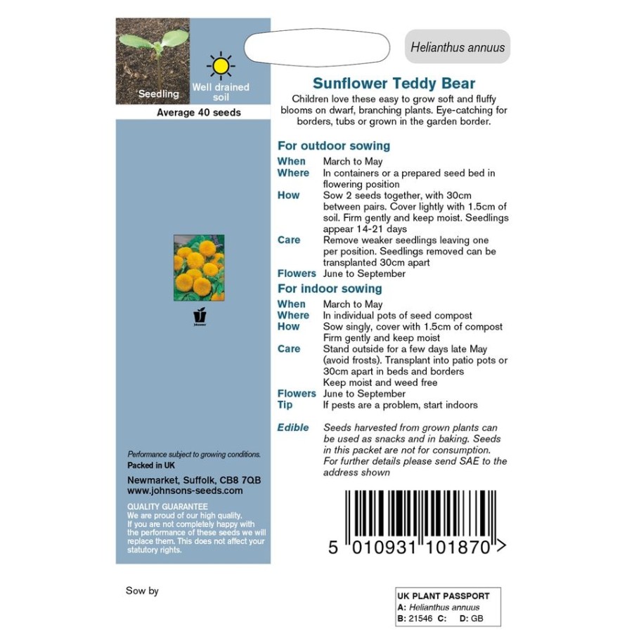 Homebase Seeds | Sunflower Teddy Bear Seeds