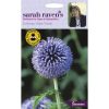 Homebase Seeds | Mr. Fothergill'S Echinops Globe Thistle Seeds