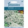 Homebase Seeds | Alyssum 'Carpet Of Snow' Seeds