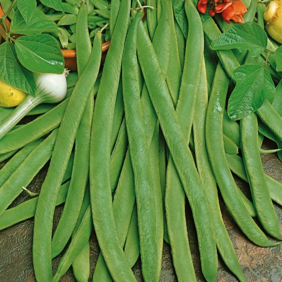 Homebase Grow Your Own | Vegetable Strip Runner Bean White Emergo