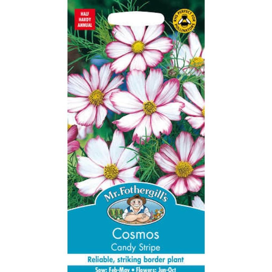 Homebase Seeds | Mr. Fothergill'S Cosmos Candy Stripe Seeds