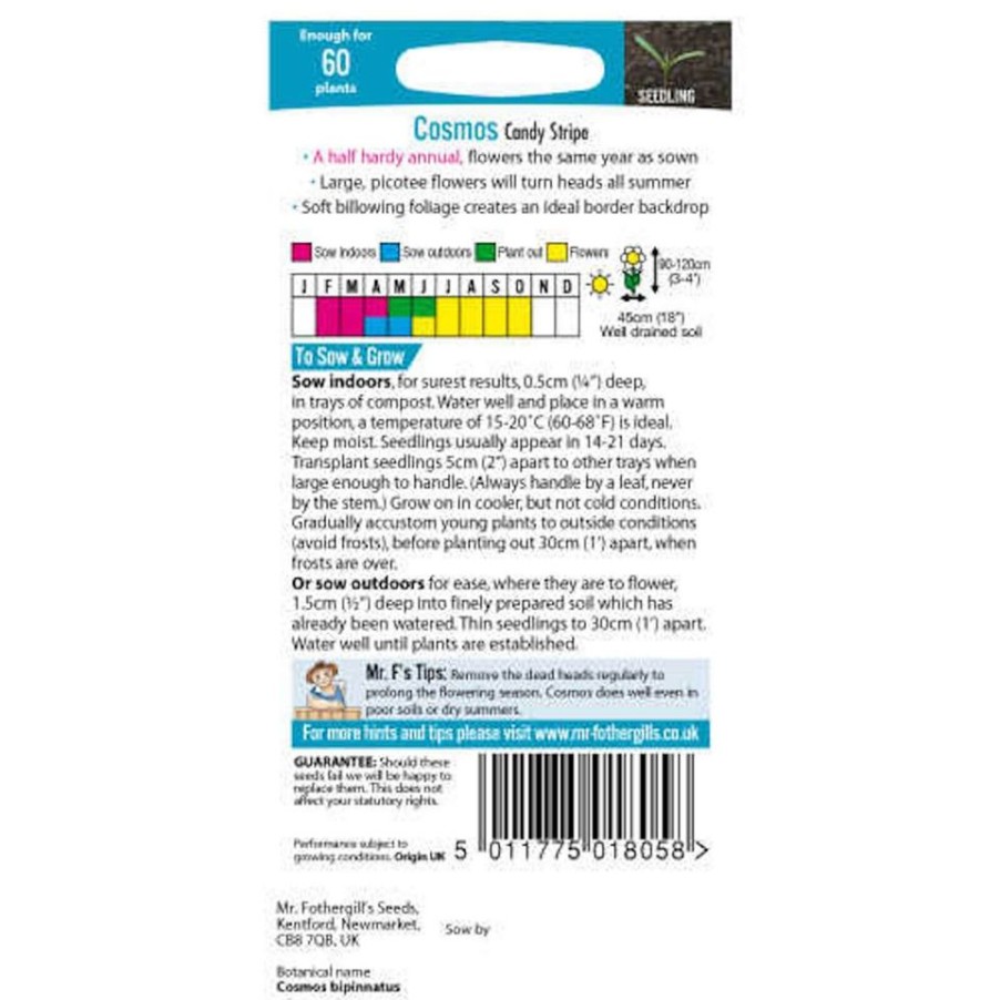 Homebase Seeds | Mr. Fothergill'S Cosmos Candy Stripe Seeds