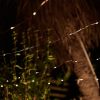 Homebase Solar Garden Lights | Elan Solar Copper Wire - 100 Led'S