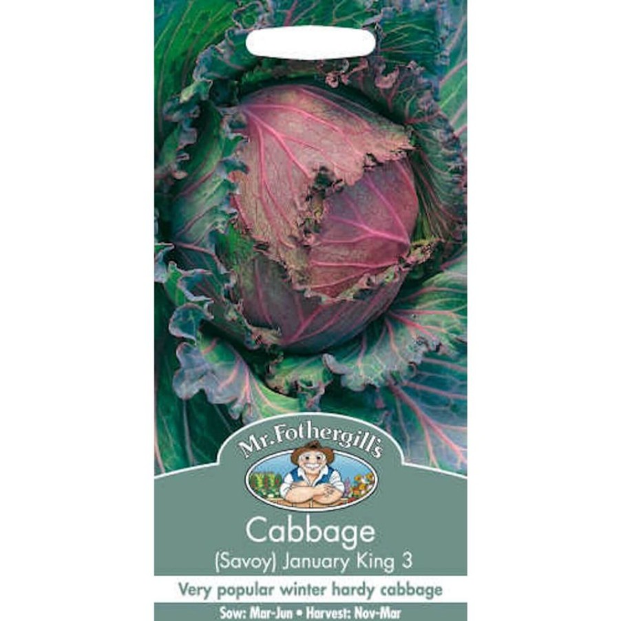 Homebase Seeds | Mr. Fothergill'S Cabbage Savoy January King 3 Seeds