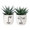 Homebase House Plants | Succulents In Expression Ceramic Pot - 6Cm