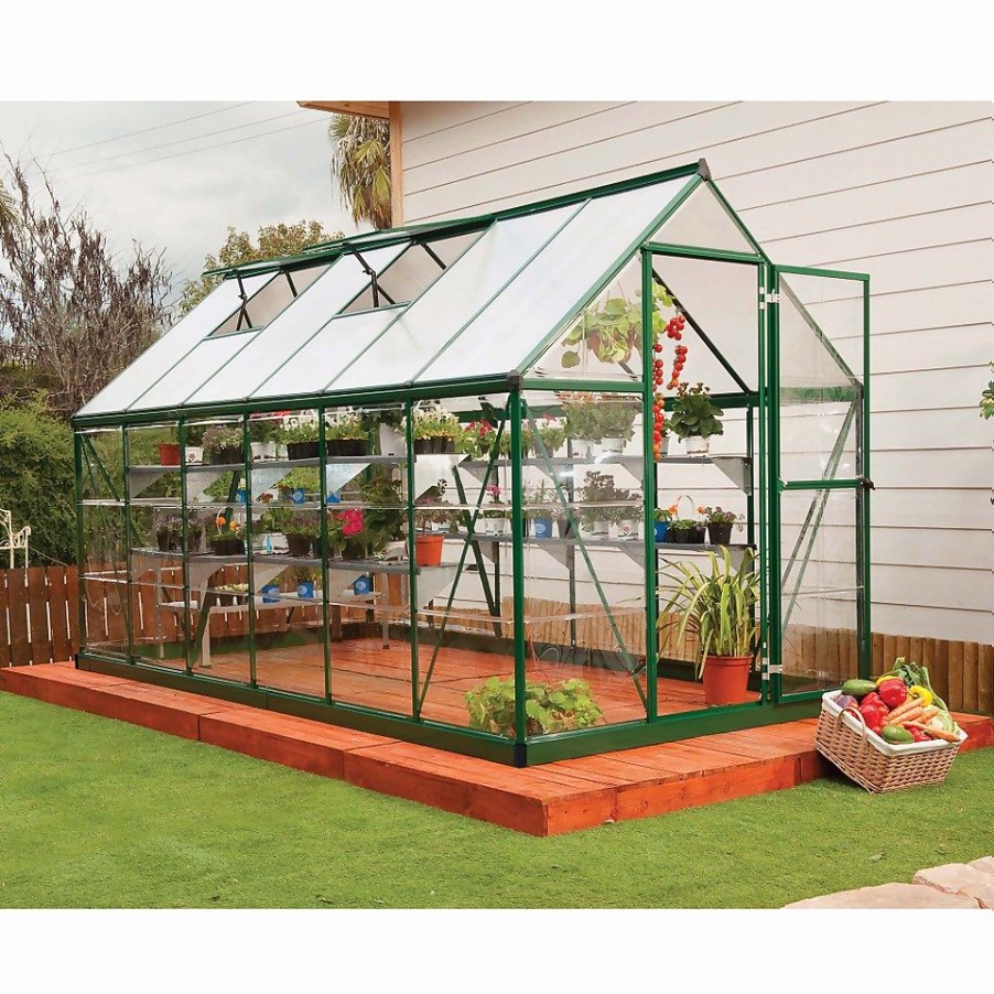 Homebase Greenhouses | Palram Canopia Hybrid 6 X 12Ft Green Greenhouse