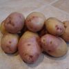 Homebase Grow Your Own | King Edward Seed Potato - 1.5Kg