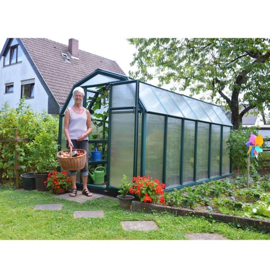 Homebase Greenhouses | Palram - Canopia Eco Grow Greenhouse 6X12 Green