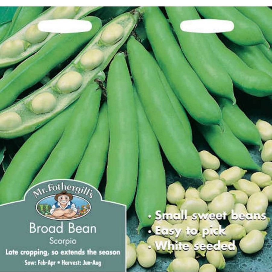 Homebase Seeds | Mr. Fothergill'S Broad Bean Scorpio Vegetable Seeds