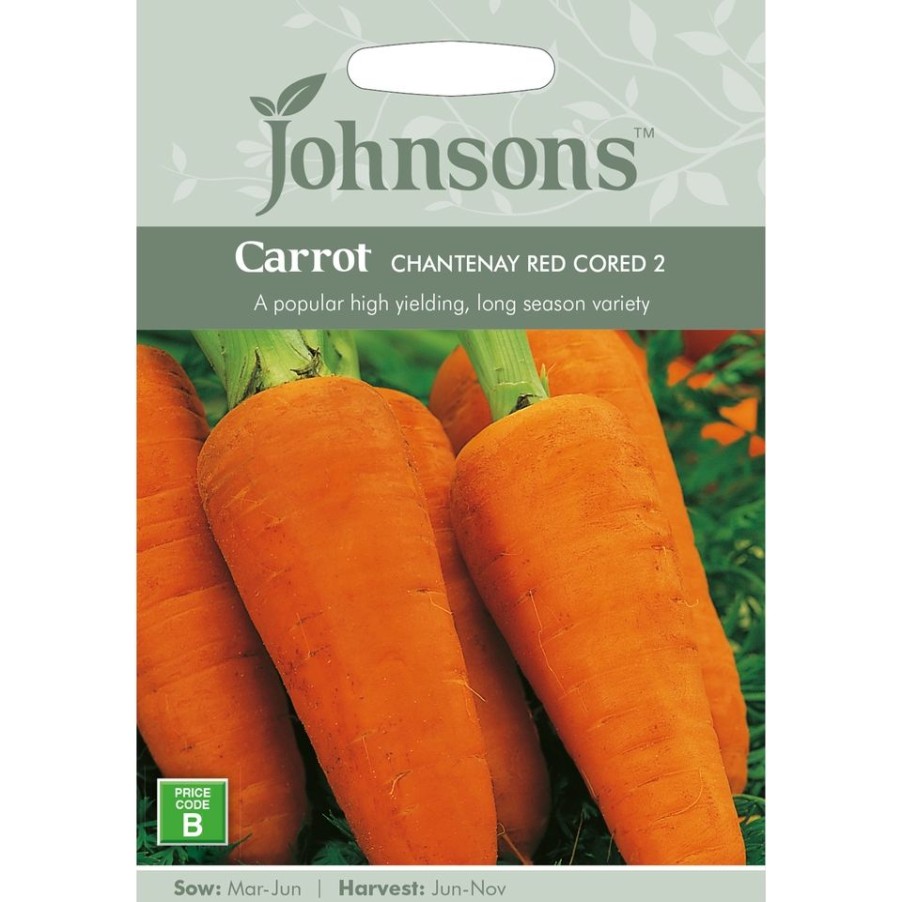 Homebase Seeds | Carrot Chantenay Red Cored 2 Seeds