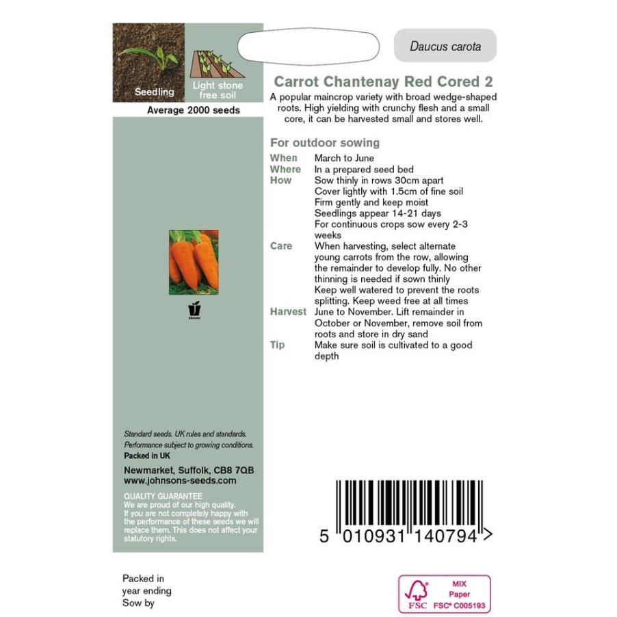 Homebase Seeds | Carrot Chantenay Red Cored 2 Seeds