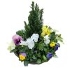 Homebase Planted Baskets & Containers | Viola, Pansy Or Bellis Mixed Premium Rattan Hanging Basket 30Cm Spring