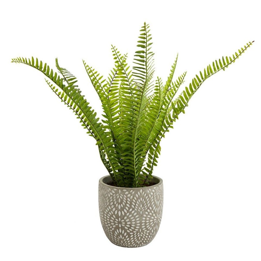 Homebase Artificial Plants | Maidenhair Fern In Ceramic Pot