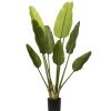 Homebase Artificial Plants | Everlands Artificial Strelitzia Plant