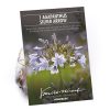 Homebase Summer Flowering Bulbs | Agapanthus Silver Arrow