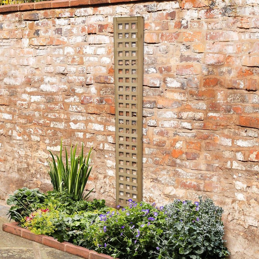 Homebase Trellis | Forest Prem Framed Trellis - 180X30Cm - 5Pk